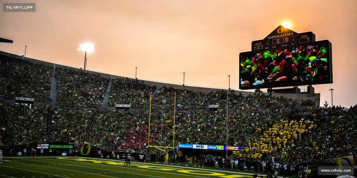 我们的核心竞争力